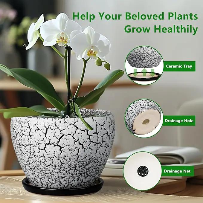 Ceramic Plant Pot 8 Inch - Ceramic Planter for Indoor Plants, Round Flower Pot with Drainage Hole and Saucer, Glaze White and Black by GreenHaven Gardens