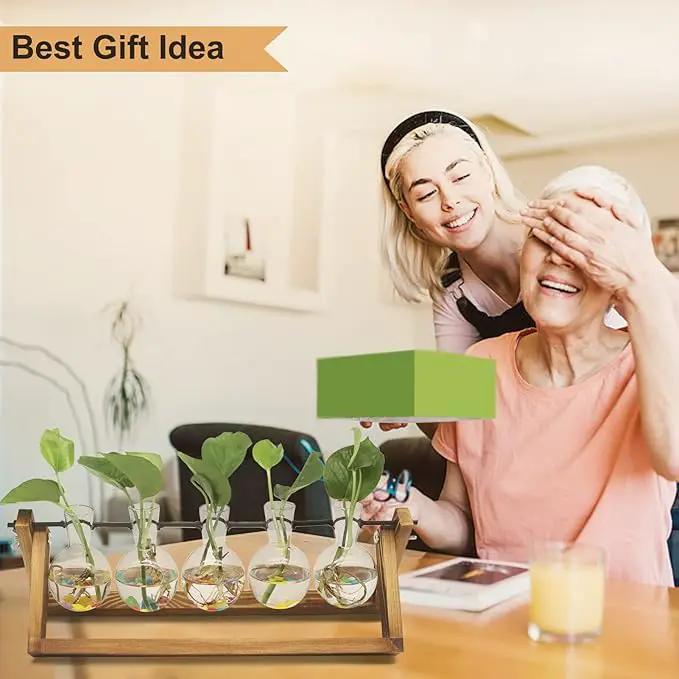 Plant Propagation Station, Propagation Vases for Plants, Unique Gardening Birthday Gifts for Women Plant Lovers Mom Best Friend - 5 Bulb Glass Vases by GreenHaven Gardens
