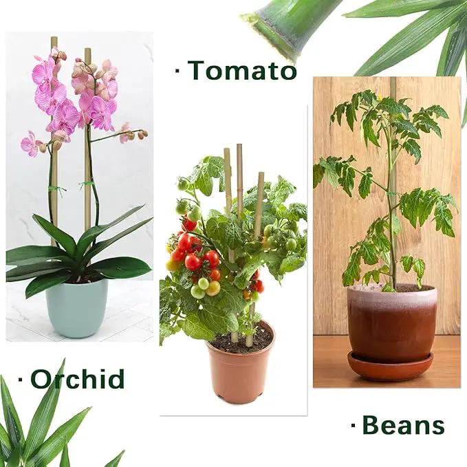 Plant Stakes,16 Inches Natural Garden Bamboo Sticks,BOVITRO 20Pcs Plant Support Stakes for Tomatoes,Beans,Vegetable and Potted Plants by GreenHaven Gardens