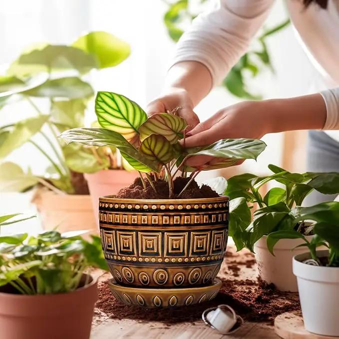 G EPGardening Succulent Pot 5.5 Inch - Ceramic Plant Pot for Indoor Plants Outdoor, Round Boho Planter with Drainage Hole and Saucer, Gifts for Plant Lovers, Office Home Garden Decor, Brown by GreenHaven Gardens