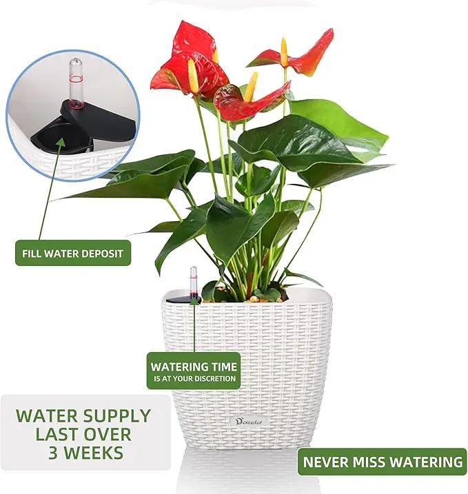 Dexceder 9x8 Self Watering Planter Indoor Outdoor, Inner Mat Design, Thickened Table Flower Plant Pot with Water Level Indicator (Ivory White Rattan) by GreenHaven Gardens