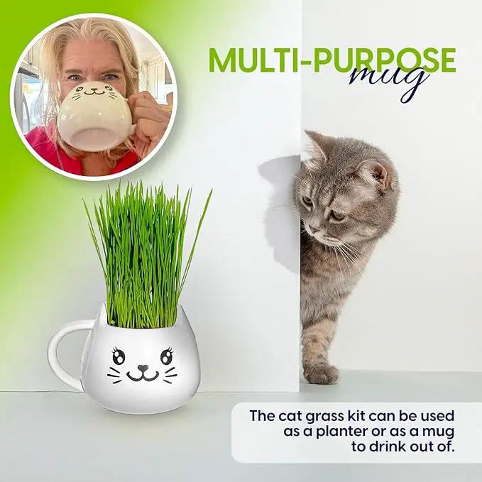 Organic Cat Grass Growing Kit - Promotes Natural Hairball Control and Digestive Wellness - Includes Organic Seed Mix, Nutrient-Rich Soil, and Stylish White Cat Planter by GreenHaven Gardens