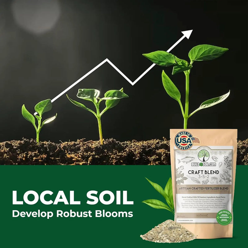 BuildASoil Fertilizer for Vegetable Garden and Ogranic Plant Food | Hand-Crafted Organic Fertilizer with 15 Premium Ingredients | Ensures Larger Plants and More Fragrant Flowers (10 LB - Medium Bag) by GreenHaven Gardens