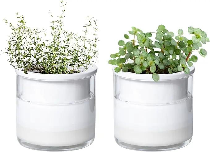 Phoenix Vine 4 Inch Self Watering Planter Pot, Design White Terracotta Pots for Plants, Indoor Cylinder Terra Cotta Pots with Glass Vase, Set of 2, 51-B-E-2 by GreenHaven Gardens