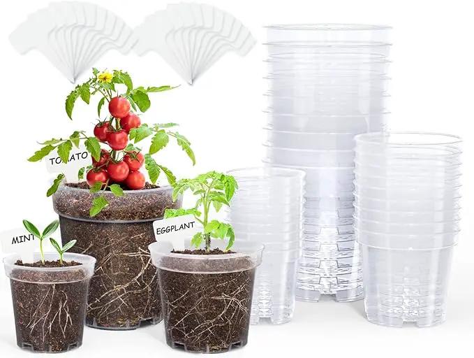 homenote Clear Nursery Pots for Plants,4 Inch Plant Pot for Planting Plastic Seedling with Drainage Holes Seed Starter Flower High Transparency 20 Labels Exclusive Material Excellent Hardness(30 Pack) by GreenHaven Gardens