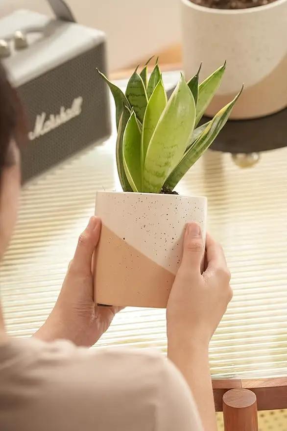 Ceramic Pots for Indoor Plants, 2 Set Flower Pots 5.4/4.3 Inch with Drainage, Double Color Glazed Speckled White & Terracotta Bottom Ceramic Planter Idea for Plant Lovers by GreenHaven Gardens