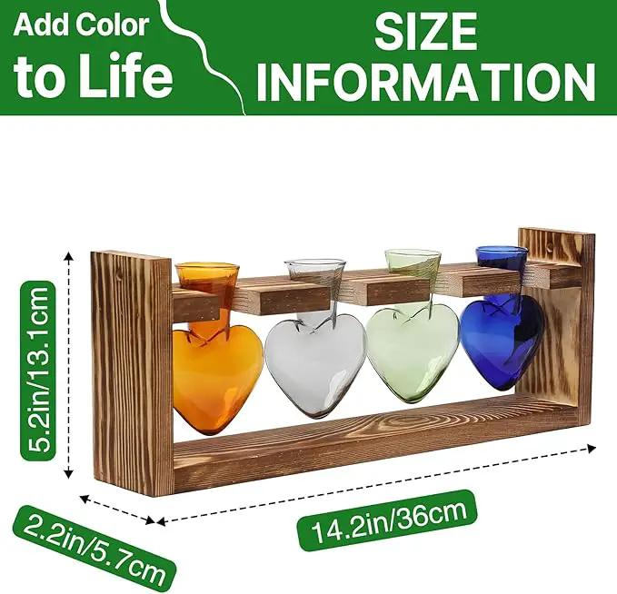 Plant Propagation Stations Heart Plant Terrarium Kit Gift for Women Plant Lover Glass Vases by GreenHaven Gardens