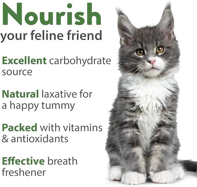 HOME GROWN 3 Cat Grass Seed Mix – Non-GMO Heirloom Oat, Alfalfa & Cat Grass Seeds | Indoor Pet Grass for Cats | High-Germination Greens for Hairball Control, Digestion, and Chewing Enrichment by GreenHaven Gardens