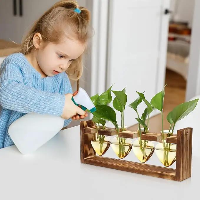 Plant Propagation Stations Heart Plant Terrarium Kit Gift for Women Plant Lover Glass Vases by GreenHaven Gardens