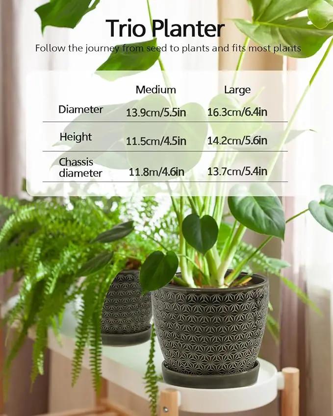 Plant Pots, Flower Pots, Planters for Indoor Plants(6.5+5.5inch), Flower Pots for Indoor Plants with Drainage Hole and Saucer, Ceramic Pots for Plants with Hole Mesh Pad,Reactive Glaze Green by GreenHaven Gardens