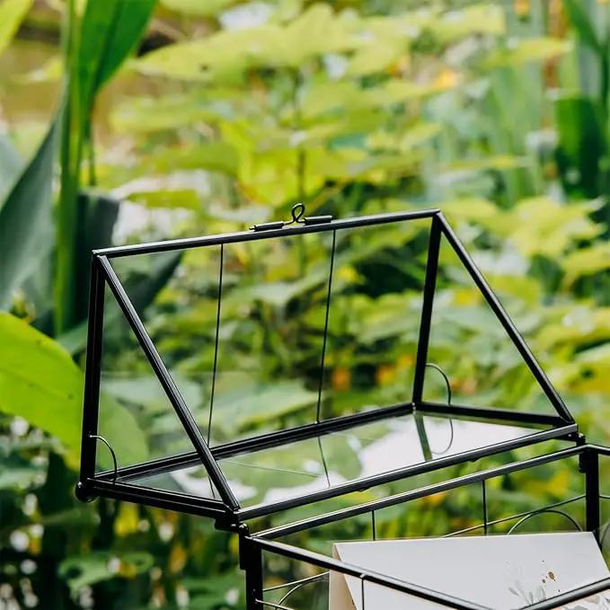 NCYP Glass Terrarium with Lid for Cacti, Succulents, Small Plants - 7.5 x 4.9 x 9 inches Closed Geometric Planter Box - Home Indoor Tabletop House Shape Decorative, Black (Terrarium Only) by GreenHaven Gardens