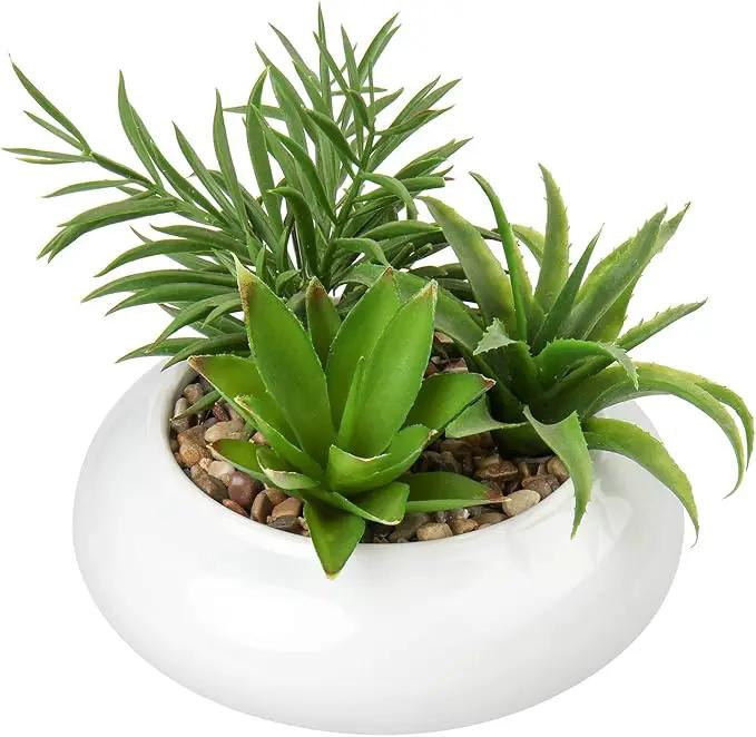 Hollyone Large Artificial Succulents Plants Faux Succulents in Pots Fake Succulent Plastic Potted Plants with White Ceramic Pot for Home Decor Office Desk Bathroom Shelf Living Room Decoration by GreenHaven Gardens
