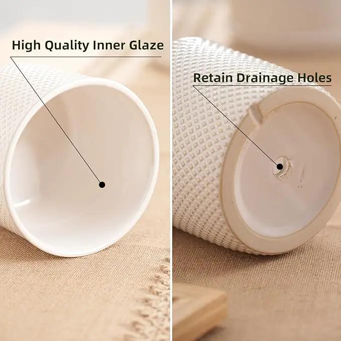 5.8 Inch Plant Pots: Ceramic Planter with Drainage Hole & Saucer - Flowerpot for Indoor & Outdoor Plants - Beaded Embossed Design White - with Separate Tray by GreenHaven Gardens