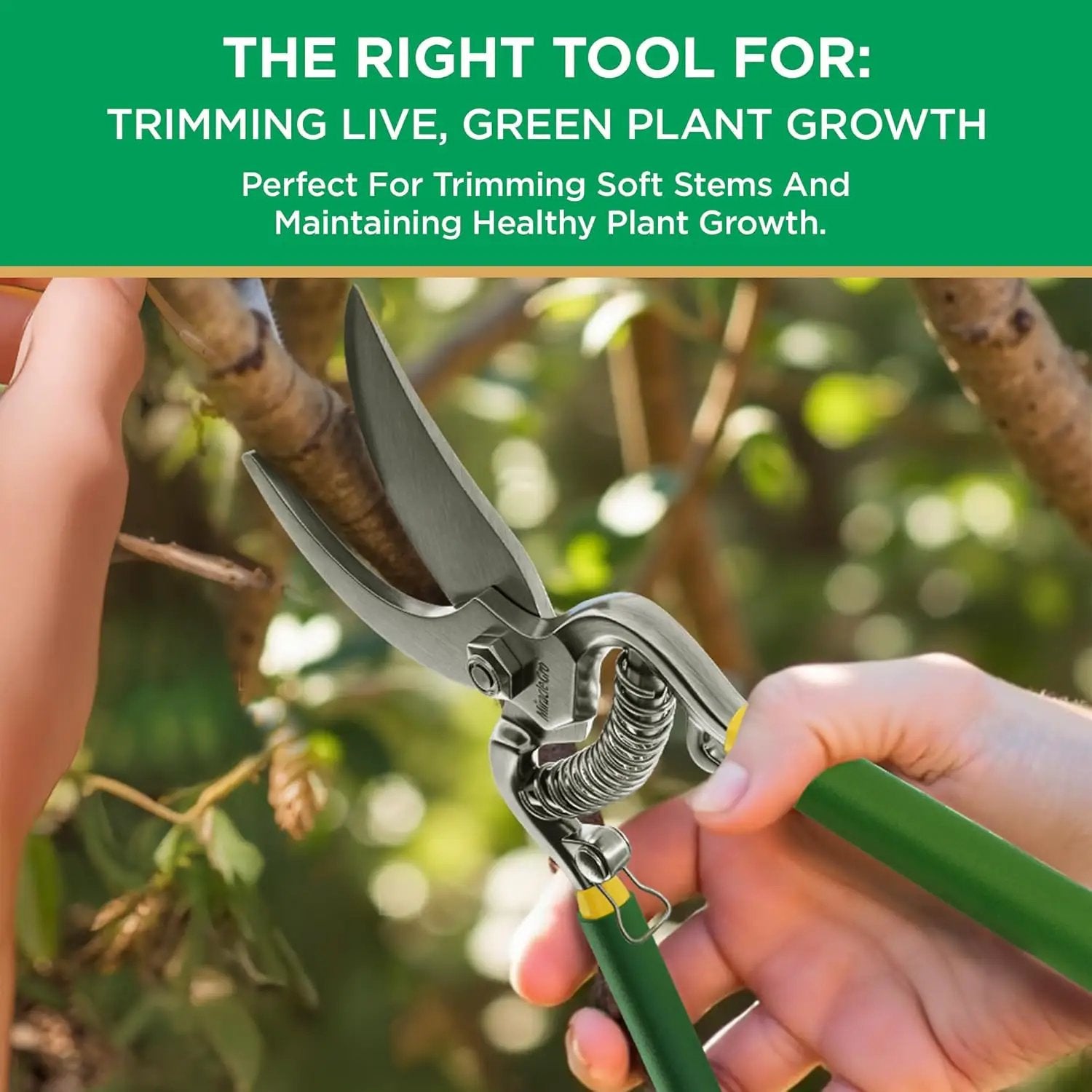 Miracle-Gro 8 in. Bypass Pruning Shears with Belt Pouch – 1/2 in. Cutting Capacity Hand Pruner with Carbon Steel Blade and Comfort Grip – Garden Tool for Live Plants and Soft Stems by GreenHaven Gardens