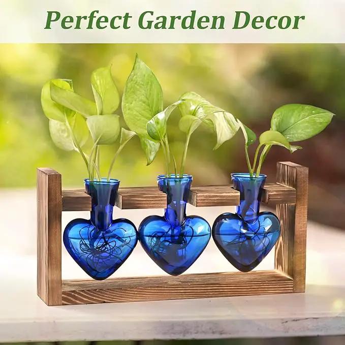 Lifecapido Heart Shaped Propagation Stations, Plant Terrarium with Wooden Stand, Plant Propagation Station for Hydroponics Plants Office Garden Home Decor, Gifts for Women Plant Lover (3 Vases, Blue) by GreenHaven Gardens