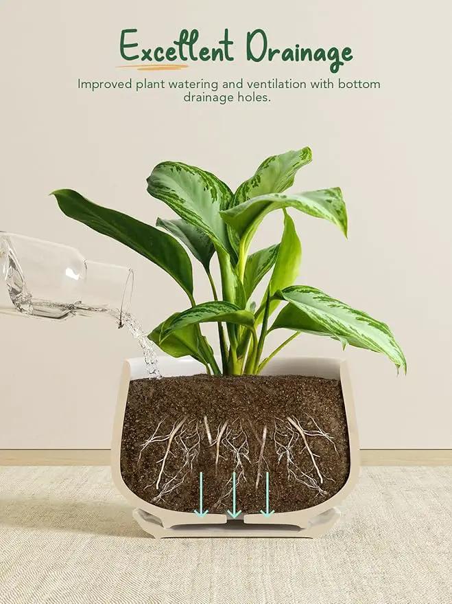 LE TAUCI Ceramic Plant Pots, 4.1+5.1+6.5 inch, Set of 3, Planters with Drainage Hole and Saucer, Indoor Flower Pot with Hole Mesh Pad, Gifts for Mom, White by GreenHaven Gardens