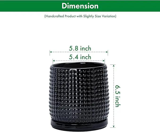 D'vine Dev Set of 2 Ceramic Plants Pots, 6 Inch Beaded Stoneware Flower Pot for Plants with Drainage Hole and Saucer, Glossy Black, 27-E-X-2 by GreenHaven Gardens