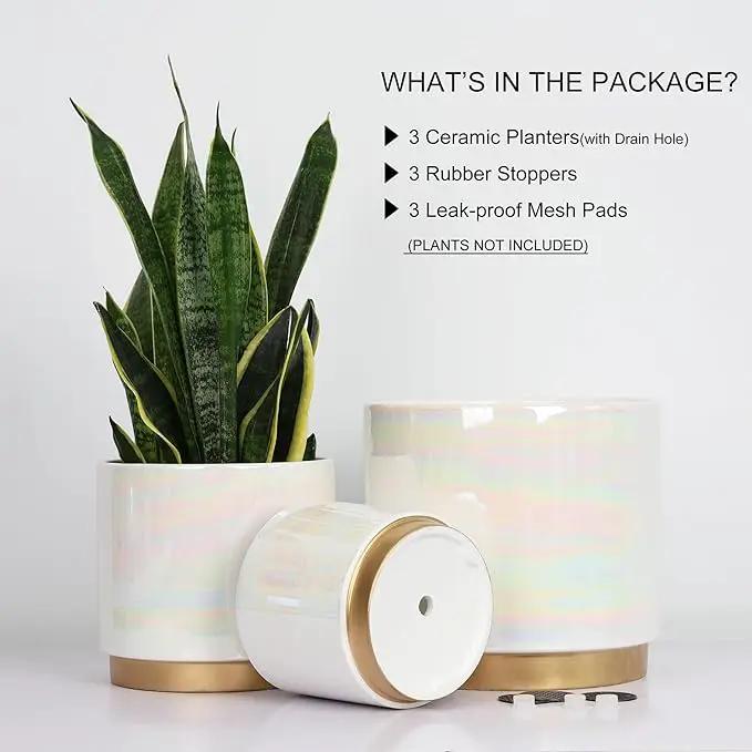 Gepege White Indoor Pots for Plants, Ceramic Planter with Drainage Hole, 9.6inch+7.6Inch+6Inch. Succulent Orchid Flower Pot - Rainbow Pearl Glaze by GreenHaven Gardens