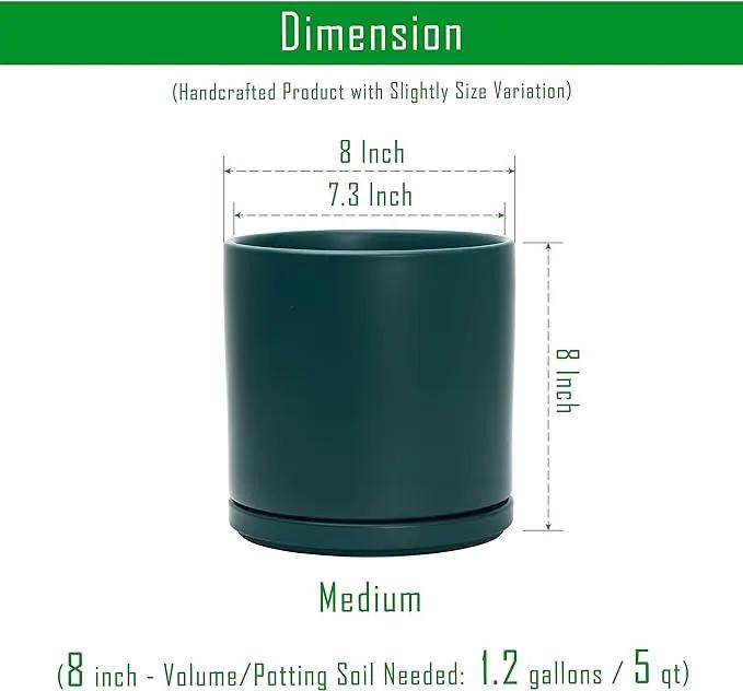 D'vine Dev Set of 2 Plants Pots, 8 Inch Ceramic Planter Pot for Plants with Drainage Hole and Saucer, Teal, 94-V-D-9 by GreenHaven Gardens