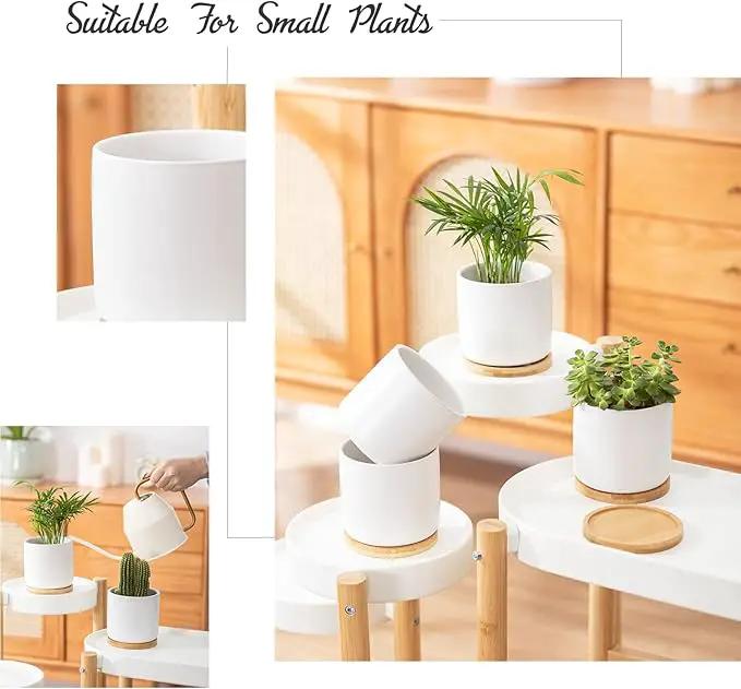 OMAYKEY 4 Inch Ceramic Plant Pot with Saucer, White Planters Pots with Drainage Hole and Mesh Pads for Succulent, Snake, Cactus, Herbs - 4 Packs(Plant Not Included) by GreenHaven Gardens