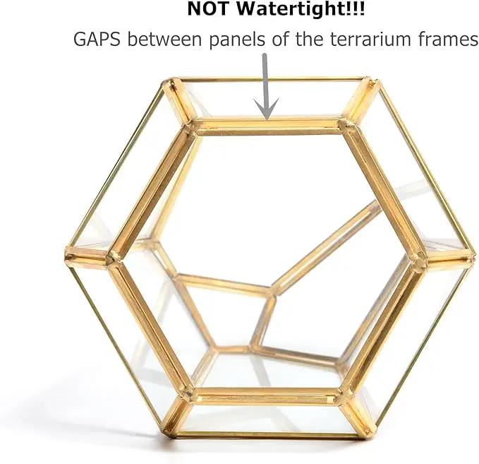 Golden Geometric Glass Terrarium with Door - 9.8" Tall Irregular Clear Planter for Succulents,Ferns,Moss,Cacti | Indoor Fairy Garden,Tabletop Display,Wedding Home Decoration (Plants Not Included) by GreenHaven Gardens