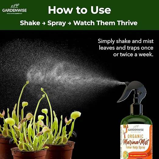 100% Organic Marina Mist Carnivorous Plant Food | Liquid Kelp Foliar Spray for Plants - Kelp Fertilizer for Venus Flytraps, Sundew, Butterworts, Pitcher Plants 8 Oz by GreenHaven Gardens