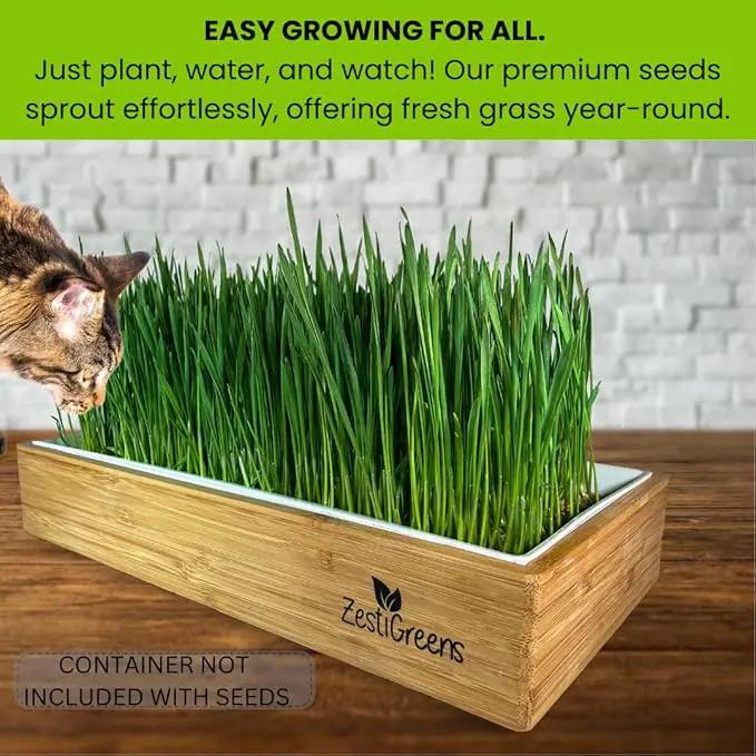 ZESTIGREENS Organic Cat Grass Seeds - Non-GMO Blend of Wheat, Oats, Rye & Barley for Indoor Cats | Seeds Come in Food Grade Container with Lid for Easier Scooping & Keeping Fresher (0.5 lb) by GreenHaven Gardens