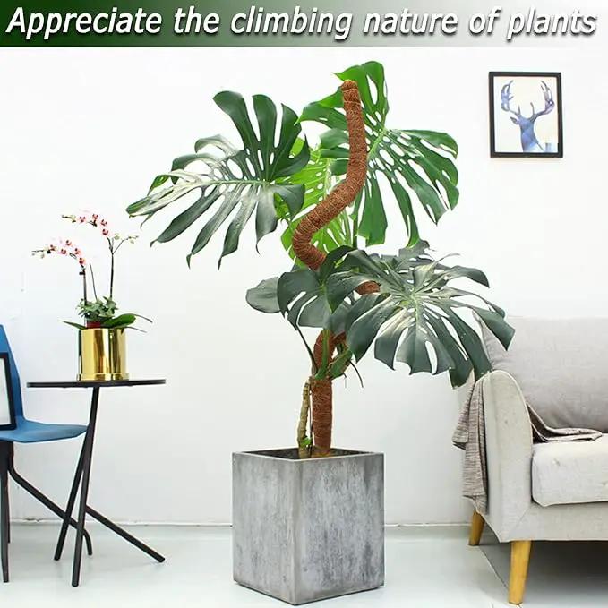 48 Inch Moss Pole, Bendable Moss Pole for Plants Monstera, Tall Moss Poles for Climbing Plants Indoor, Large Moss Pole Support, Garden Trellis Plant Stick Stakes for Potted Plants, Pothos by GreenHaven Gardens