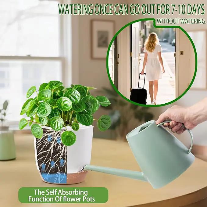5.8 Inch Self Watering Planters for Indoor Plants with Bottom Watering,2Pack Flower Plant Pots for Outdoor with Drainage, Durable Plastic planters Pots(White) by GreenHaven Gardens