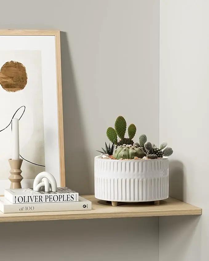 LE TAUCI Succulent Pots, 6.5+8 Inch Ceramic Indoor Plant Pot with Drainage Hole, Modern Round Decorative Flower Pot, Set of 2, Reactive Glaze White by GreenHaven Gardens