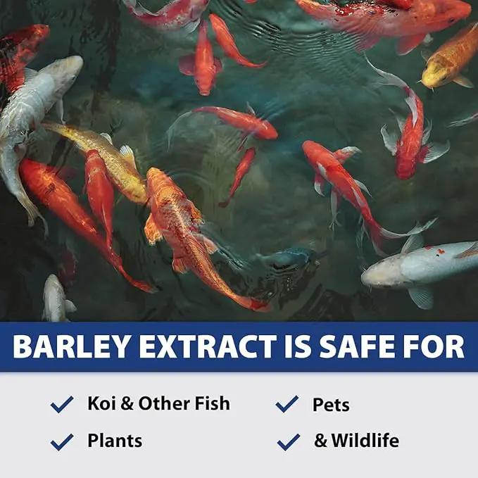 The Pond Guy Barley Extract Natural Liquid Treatment for Ponds and Water Gardens, Safe for Koi Fish and Plants, Natural Solutions for Clear Pond Water - 1 Gallon by GreenHaven Gardens