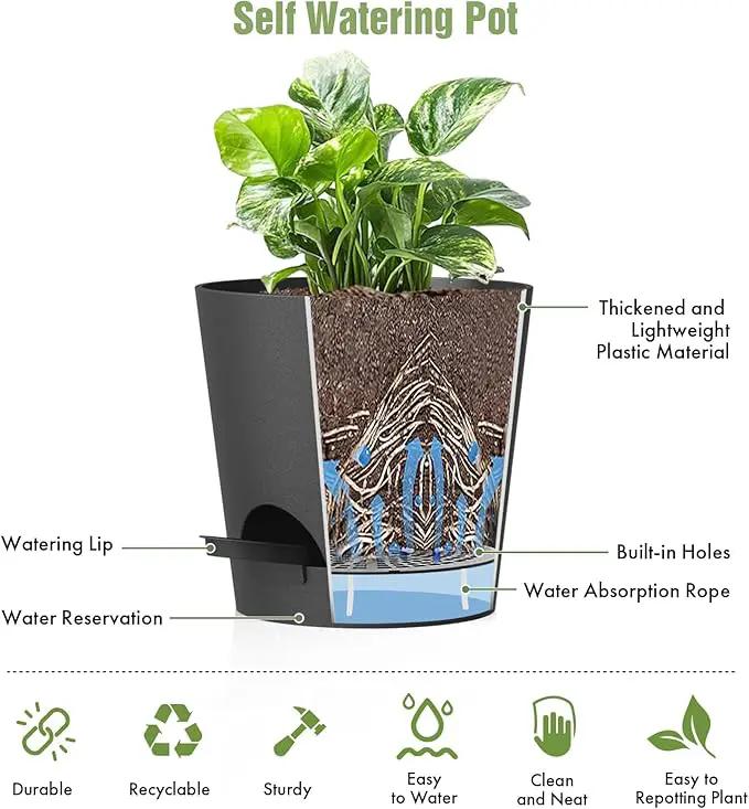 4 inch Self Watering Pots for Indoor Outdoor Plants, 6 Pack Plastic Flower Planters with Drainage Holes and Removable Saucers, Plant Pots with Wicking Rope, Modern Decor, Black by GreenHaven Gardens