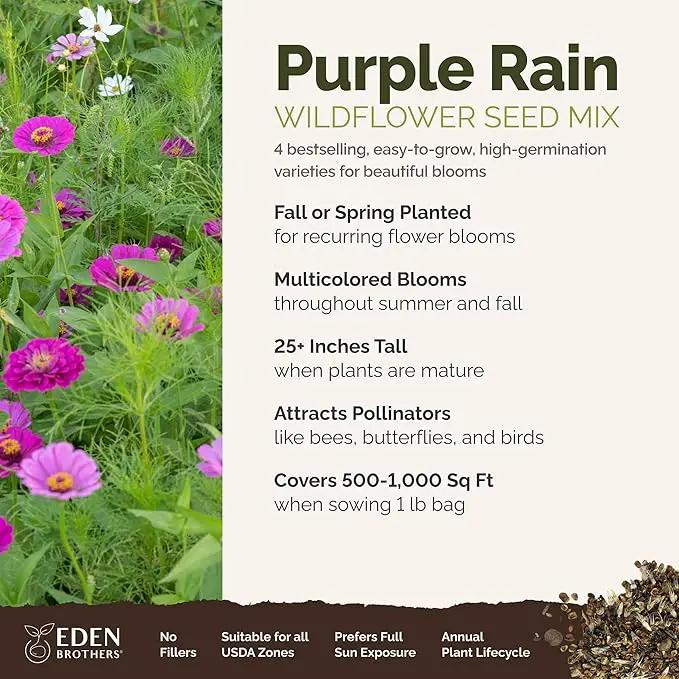 Eden Brothers Purple Rain Flower Mixed Seeds for Planting, 1 lb, 480,000+ Seeds with Zinnia Purple Prince & Violet Queen, Cosmos | Attracts Pollinators, Plant in Spring, Zones 3, 4, 5, 6, 7, 8, 9, 10 by GreenHaven Gardens