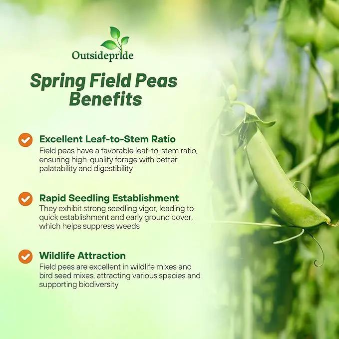 Outsidepride Dundale Spring Field Peas Seeds - 10 lbs. Annual, High-Protein Legume & Cover Crop Seeds for Forage, Food Plot, Gardens & Pastures - Ideal for Improving Soil Health, & Erosion Control by GreenHaven Gardens