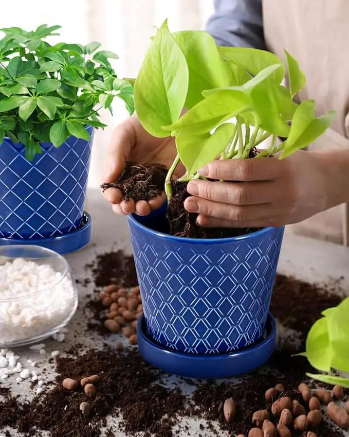 EFISPSS Ceramic Plant Pots, 5Inch Pots for Indoor Plants, Planters with Drainage Holes and Ceramic Tray,Plant Lover Gift, Desktop Office Windowsill Decoration Gift Set of 4 - Blue by GreenHaven Gardens