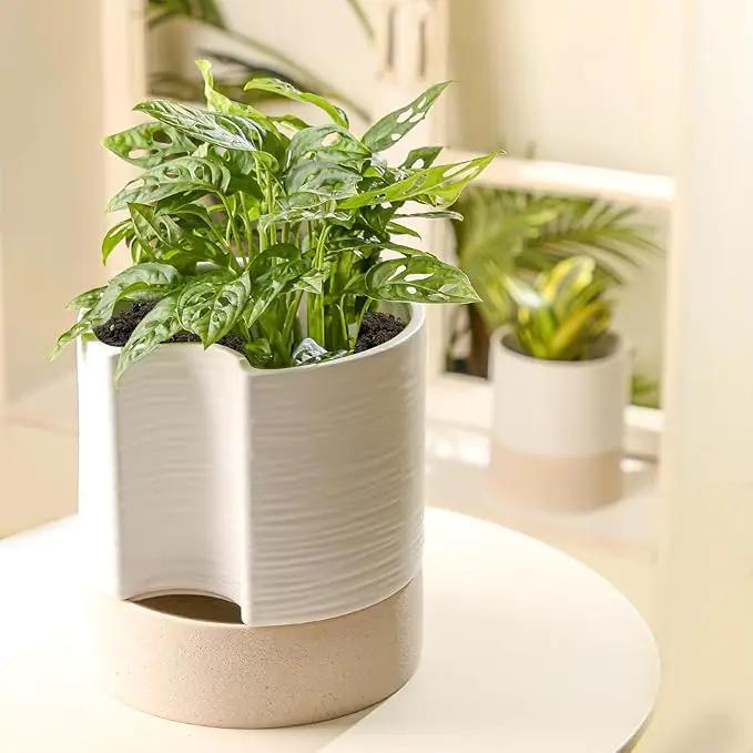 Nihow Self Watering Plant Pot: 8 Inch Ceramic Planter with Drainage Hole & Water Storage Plus for Indoor & Outdoor Plants - Cylinder Round Flower Pot for Succulent/Herbs/Violets - White & Brown by GreenHaven Gardens