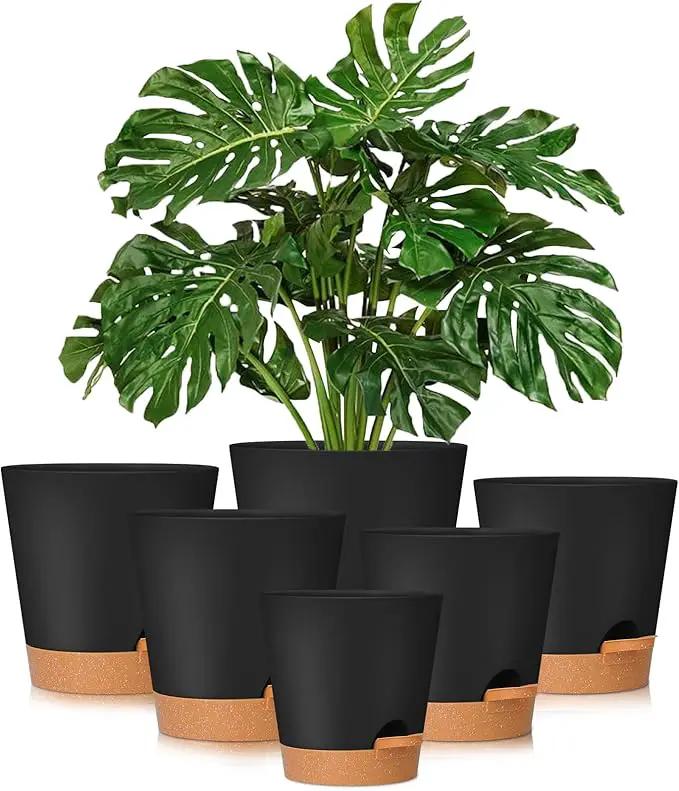 GARDIFE Plant Pots 8/7/6.5/6/5.5/5 Inch Self Watering Planters with Drainage Hole, Plastic Flower Pots, Nursery Planting Pot for All House Plants, African Violet, Flowers, and Cactus,Black by GreenHaven Gardens