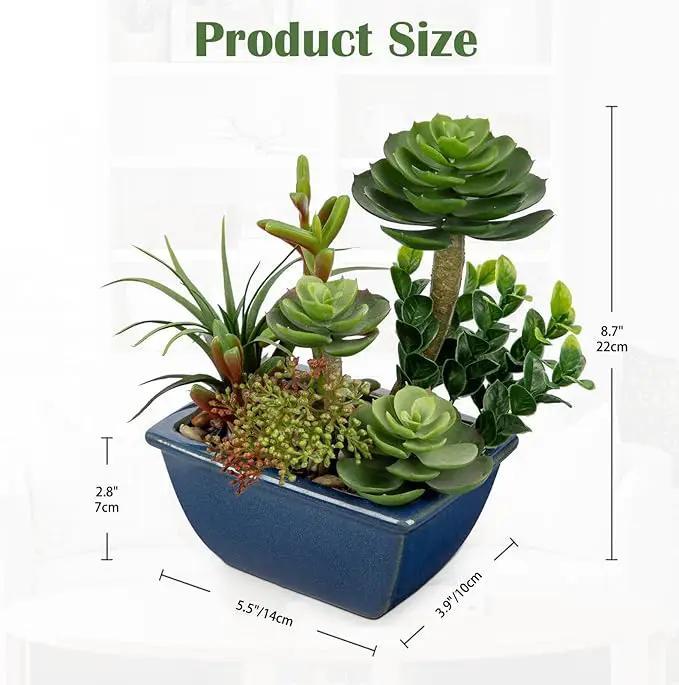 Small Faux Plant Assorted Fake Succulents Plants with Glazed Ceramic Pot Faux Succulents Arrangement Cement Potted Desk Plants Small Fake Plants for Home Table Office Bathroom Shelf Living Room Decor by GreenHaven Gardens