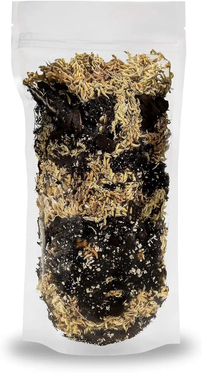 Premium Orchid Mix by GARDENERA | Fern + New Zealand Pine Bark + Sphagnum Moss + Perlite | Best for Growing and Repotting Orchids - 1 Quart Bag by GreenHaven Gardens