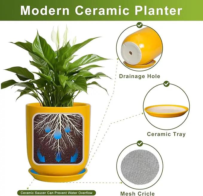 Plant Pot 8 Inch - Ceramic Plant Pot with Drainage Hole and Saucer Large Planter for Indoor Plants Outdoor Modern Flower Pot for Home Garden Decor Yellow by GreenHaven Gardens