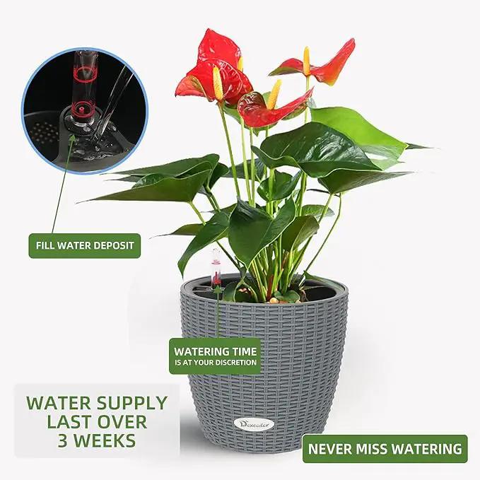 Dexceder 9x8 Inches Rattan Self Watering Planter Indoor Outdoor, Inner Pot Design, Thickened Table Flower Plant Pot with Water Level Indicator (Deep Gray) by GreenHaven Gardens