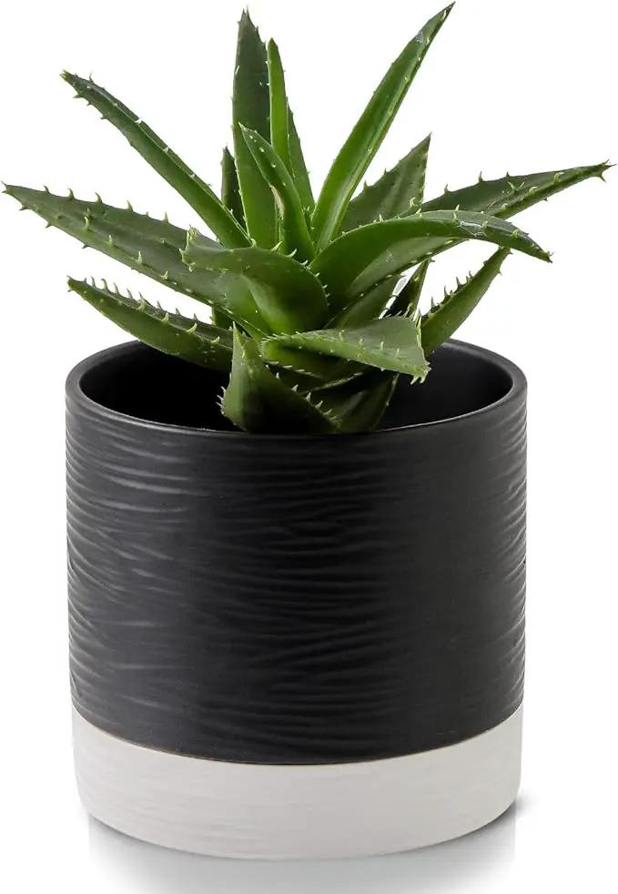 Nihow Ceramic Plant Pot: 6 Inch Planter with Drainage Hole & Saucer for Indoor & Outdoor Plants - Cylinder Round Flower Pot for Succulent/Herbs/Violets - Black & White by GreenHaven Gardens