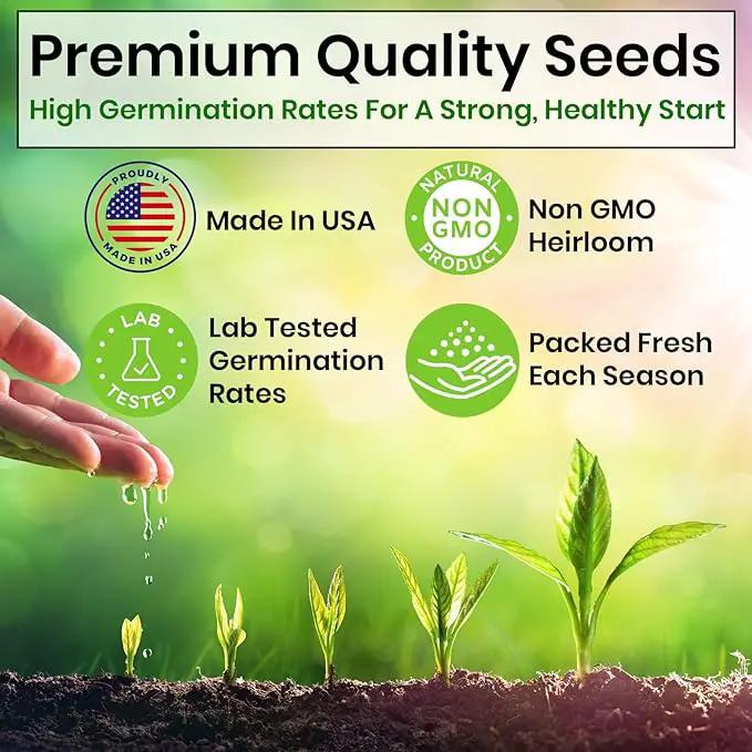 5 Herb Seeds Variety Kit, Oregano, Cilantro, Parsley, Basil, Chives by GreenHaven Gardens
