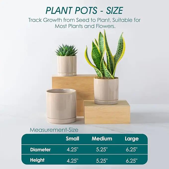 vancasso Ceramic Plant Pots, 3 Piece Planters for Indoor Plants, 4.25+5.25+6.25 Inch Flower Pots with Drainage, Plant Pots Indoor for Succulent, Pothos, Snake Plant and Money Tree, Etc (Gray) by GreenHaven Gardens