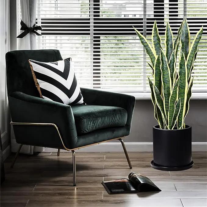 Plant Pots 10 Inch Ceramic Planter with Drainage Hole and Saucer, Matte Black Modern Cylinder Planter Pot for Indoor Outdoor Plants Flowers, Full Glazed Finish by GreenHaven Gardens