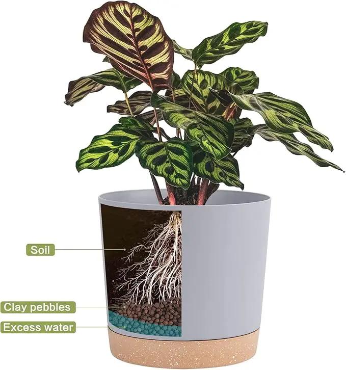 QCQHDU 10 inch Plant Pot, 2 Pack Planters for Indoor Plants with Drainage Holes & Saucer, Outdoor Flower Pots Home Garden Modern Decor by GreenHaven Gardens