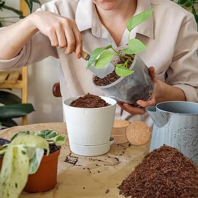 ZeeDix Organic Coco Coir Pellets Potting Soil, 100pcs 30mm Compressed Coconut Fiber Seed Starter Soil Pellets, Coco Peat Soil Discs for Indoor Ourdoor Plants, Herbs, Houseplants, Flowers, Vegetables by GreenHaven Gardens