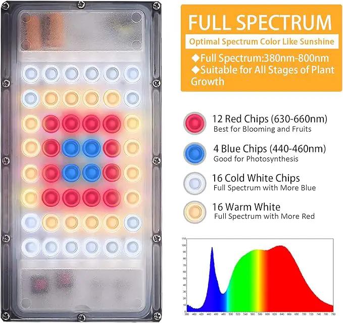 LBW Grow Light for Indoor Plants, Full Spectrum Desk LED Plant Light, Small Grow Lamp with On/Off Switch, Height Adjustable, Flexible Gooseneck, Ideal for Indoor Growth by GreenHaven Gardens