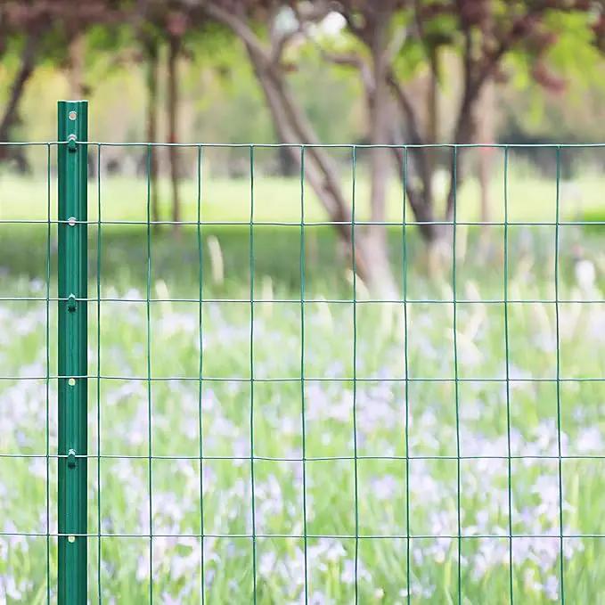 Green PVC Coated Welded Wire Fence 24 Inch x 50 Foot, 2 Inch x 3 Inch 16GA, Garden Border Fencing Roll Vinyl Coating Metal Wire Mesh for Yard Vegetable Plant Protection Poultry Netting by GreenHaven Gardens