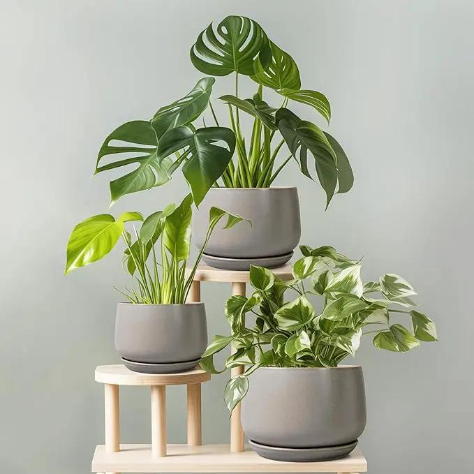 G EPGardening Ceramic Planter 9 Inch - Round Modern Plant Pots with Drainage and Plant Saucer Indoor Outdoor for Flower, Vanity Decor, House Gifts, Retro Grey by GreenHaven Gardens